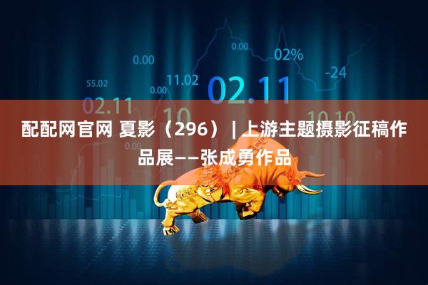 配配网官网 夏影（296） | 上游主题摄影征稿作品展——张成勇作品